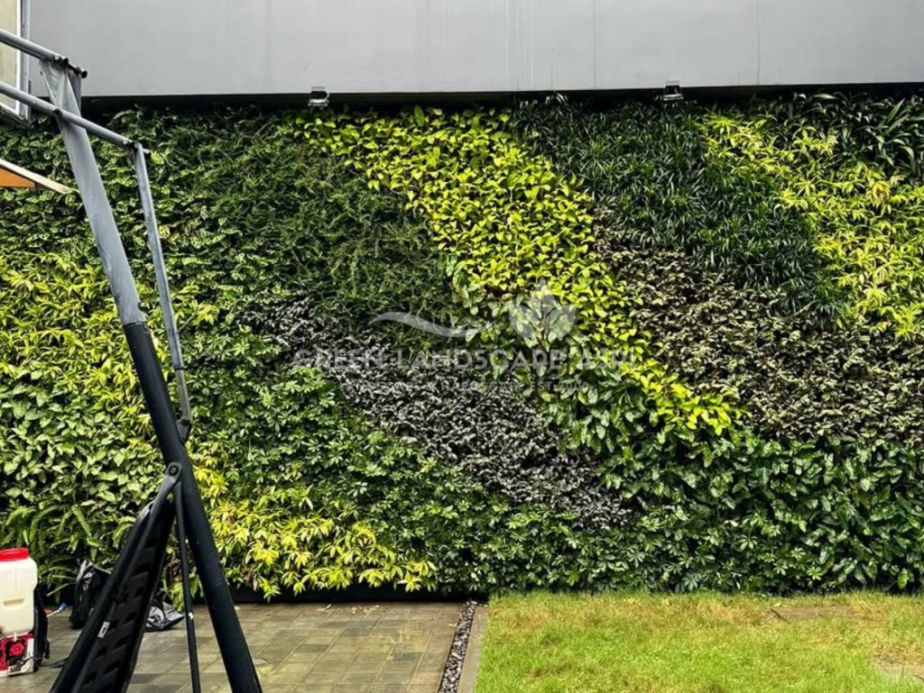 Jasa Vertical Garden Tanaman Asli