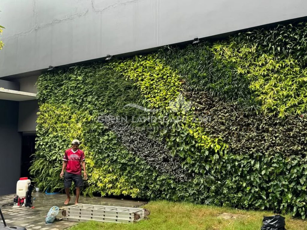 Jasa Vertical Garden Tanaman Asli