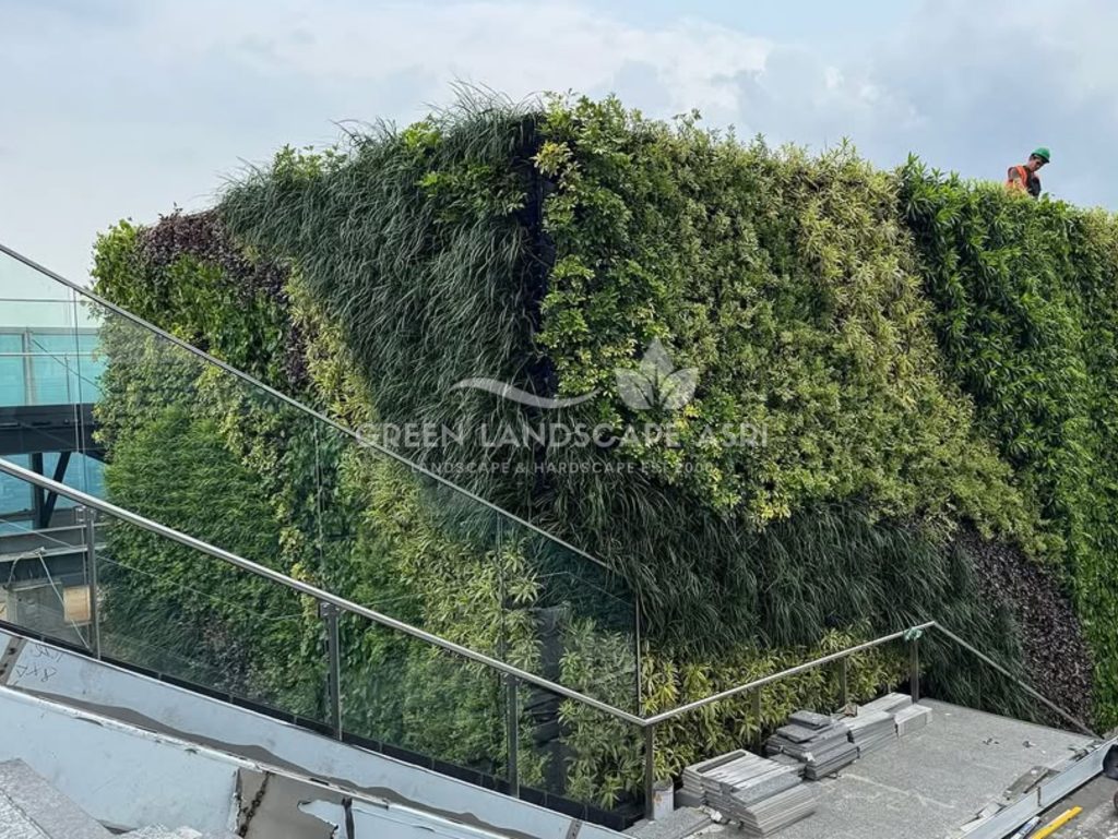 Jasa Vertical Garden Tanaman Asli