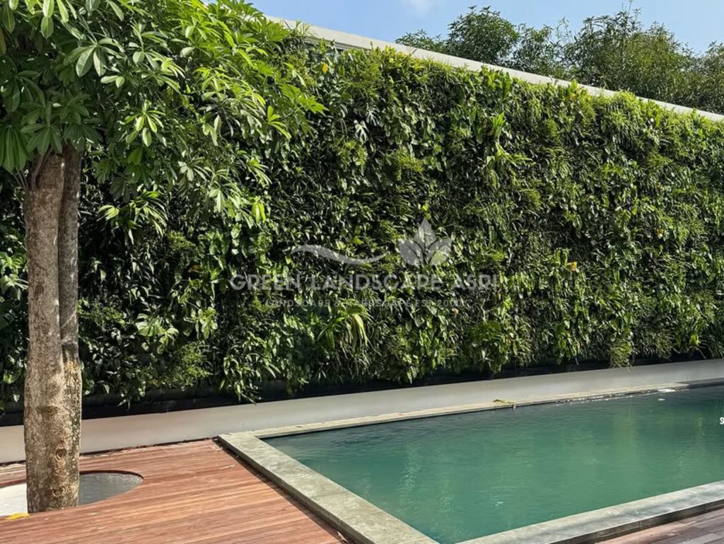 Jasa Vertical Garden Tanaman Asli