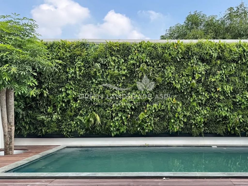 Jasa Vertical Garden Tanaman Asli