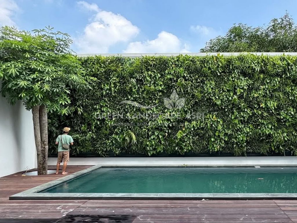 Jasa Vertical Garden Tanaman Asli