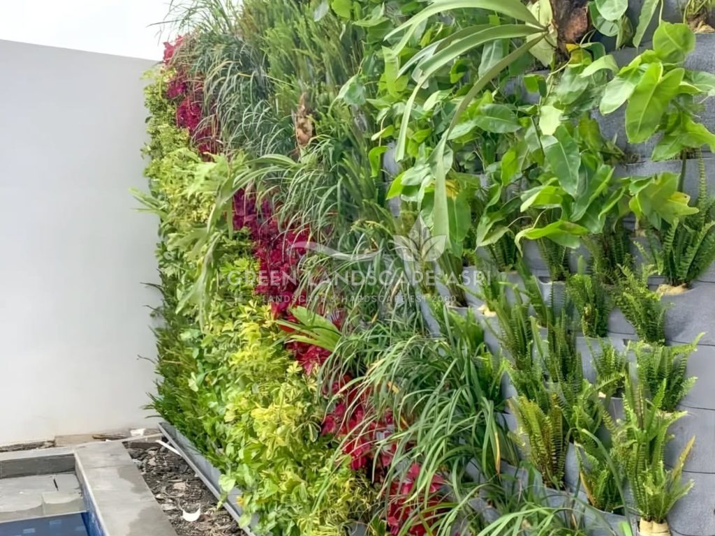 Jasa Vertical Garden Tanaman Asli