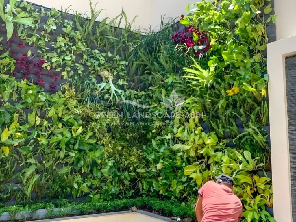 Jasa Vertical Garden Tanaman Asli
