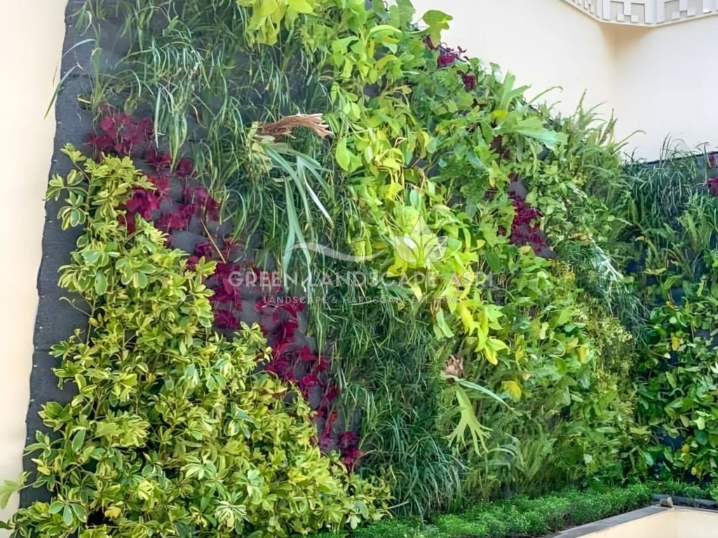 Jasa Vertical Garden Tanaman Asli