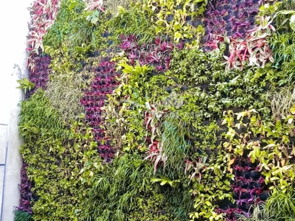 Jasa Vertical Garden Tanaman Asli