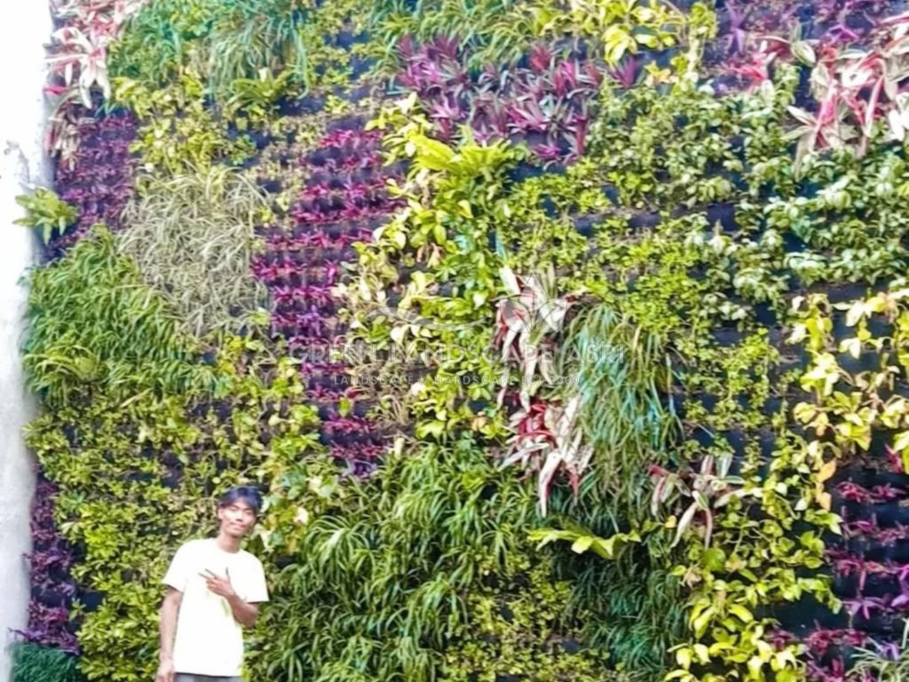 Jasa Vertical Garden Tanaman Asli