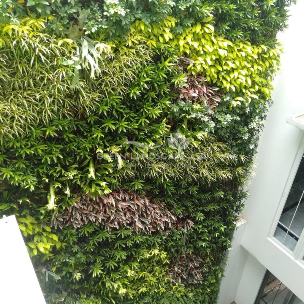 Tukang Taman Vertikal Bergaransi