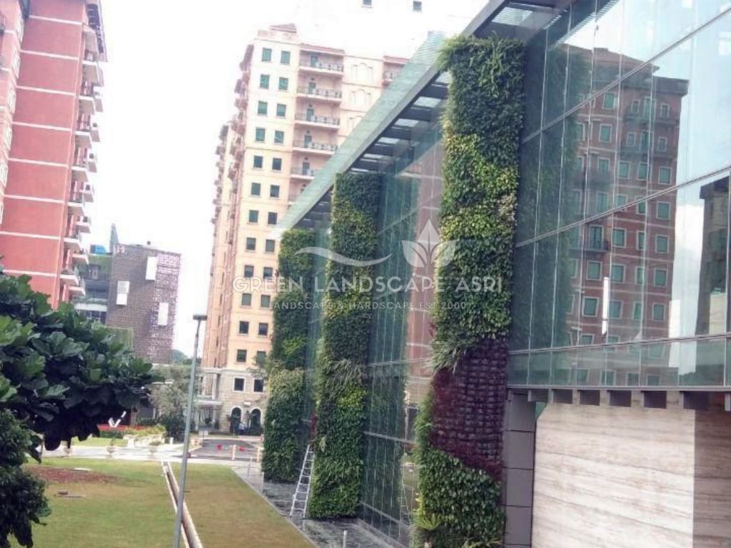 Tukang Taman Vertikal Bergaransi