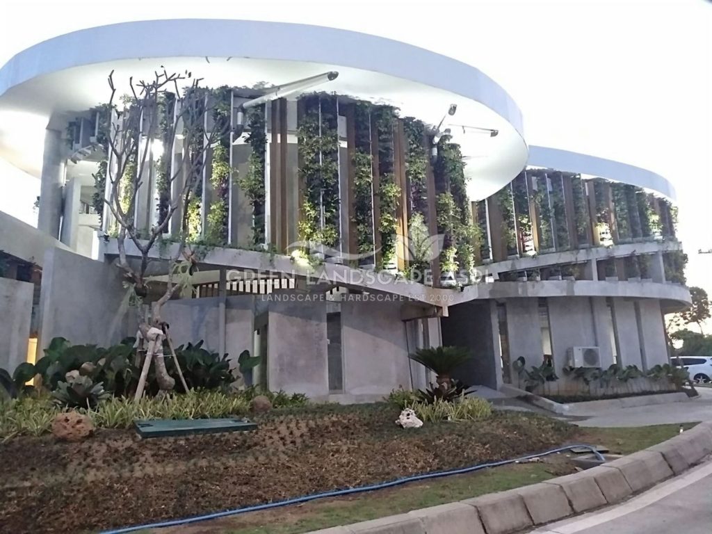 Tukang Taman Vertikal Bergaransi