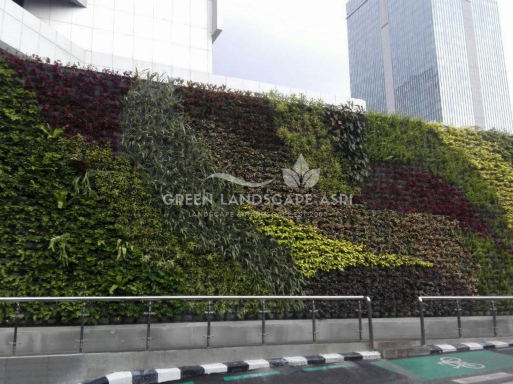 Tukang Taman Vertikal Bergaransi