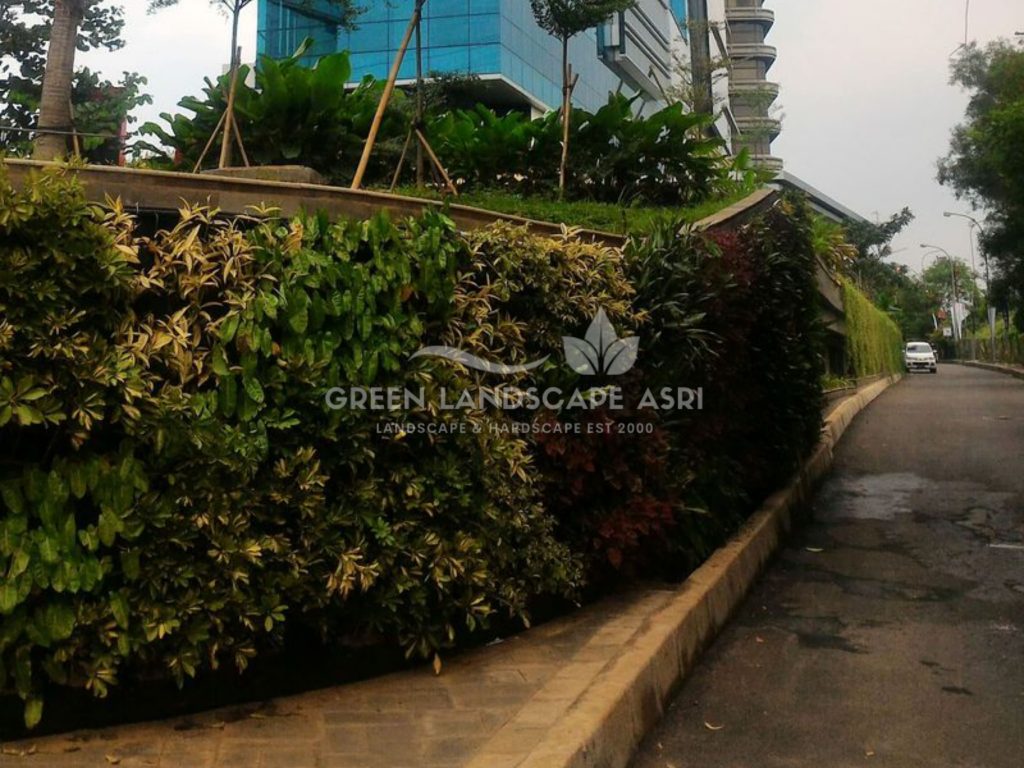 Tukang Taman Vertikal Bergaransi