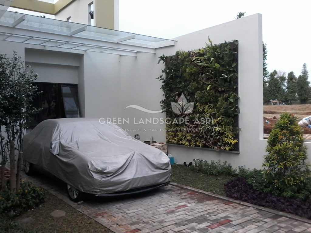 Tukang Taman Vertikal Bergaransi