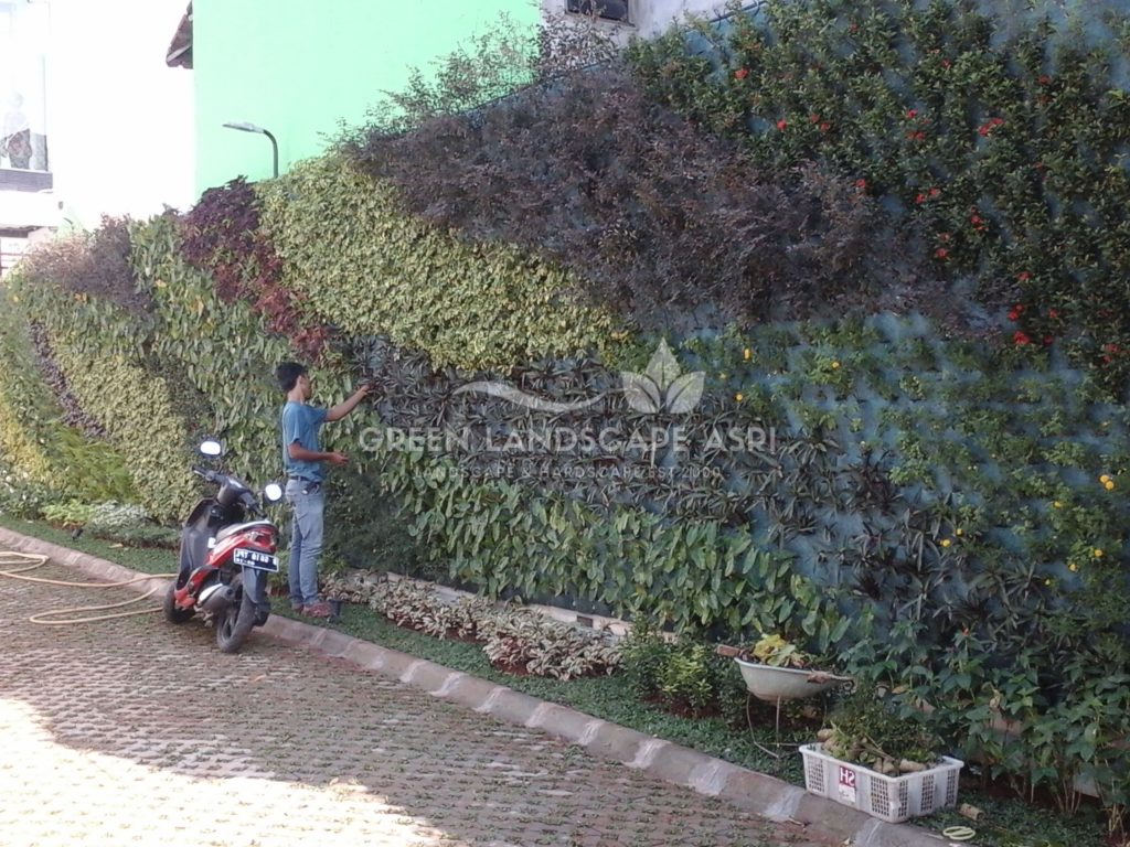 Tukang Taman Vertikal Bergaransi