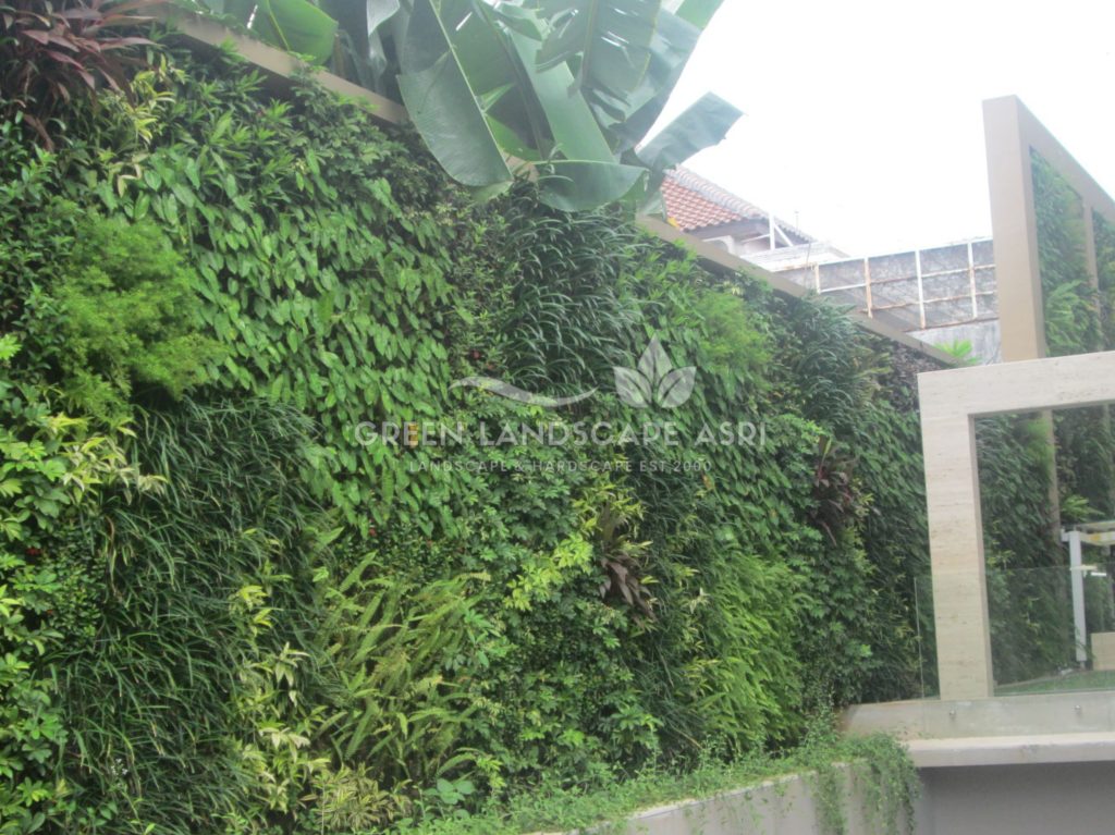 Tukang Taman Vertikal Bergaransi