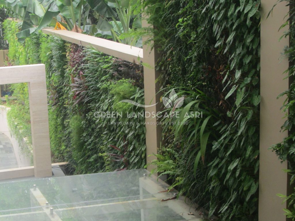 Tukang Taman Vertikal Bergaransi