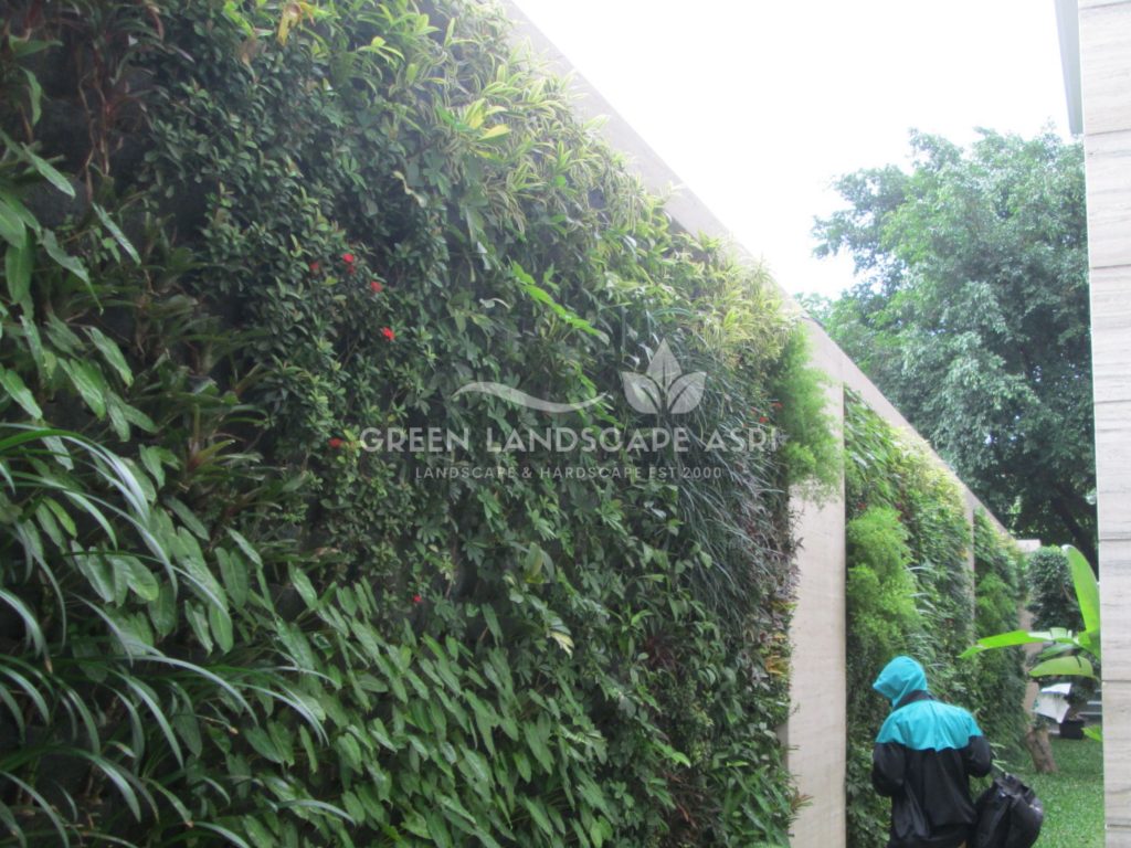 Tukang Taman Vertikal Bergaransi