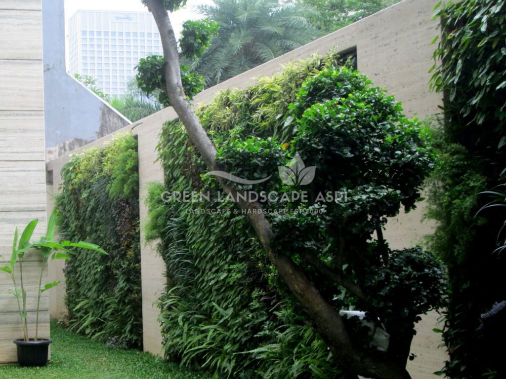 Tukang Taman Vertikal Bergaransi