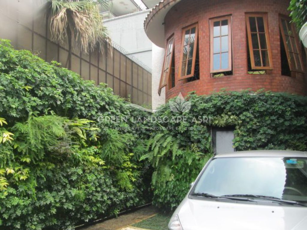 Tukang Taman Vertikal Bergaransi
