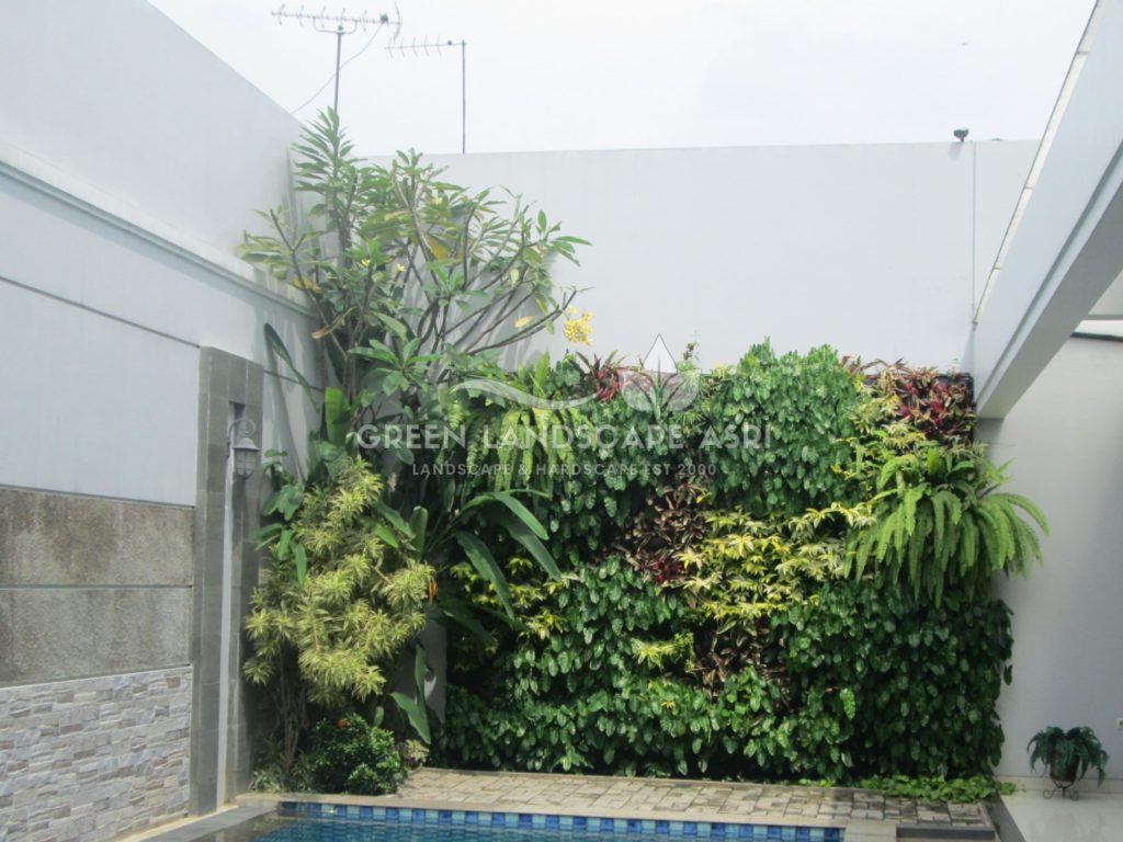 Tukang Taman Vertikal Bergaransi