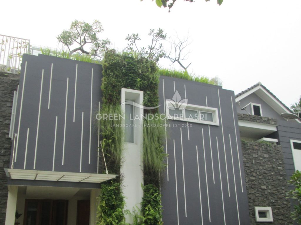 Tukang Taman Vertikal Bergaransi