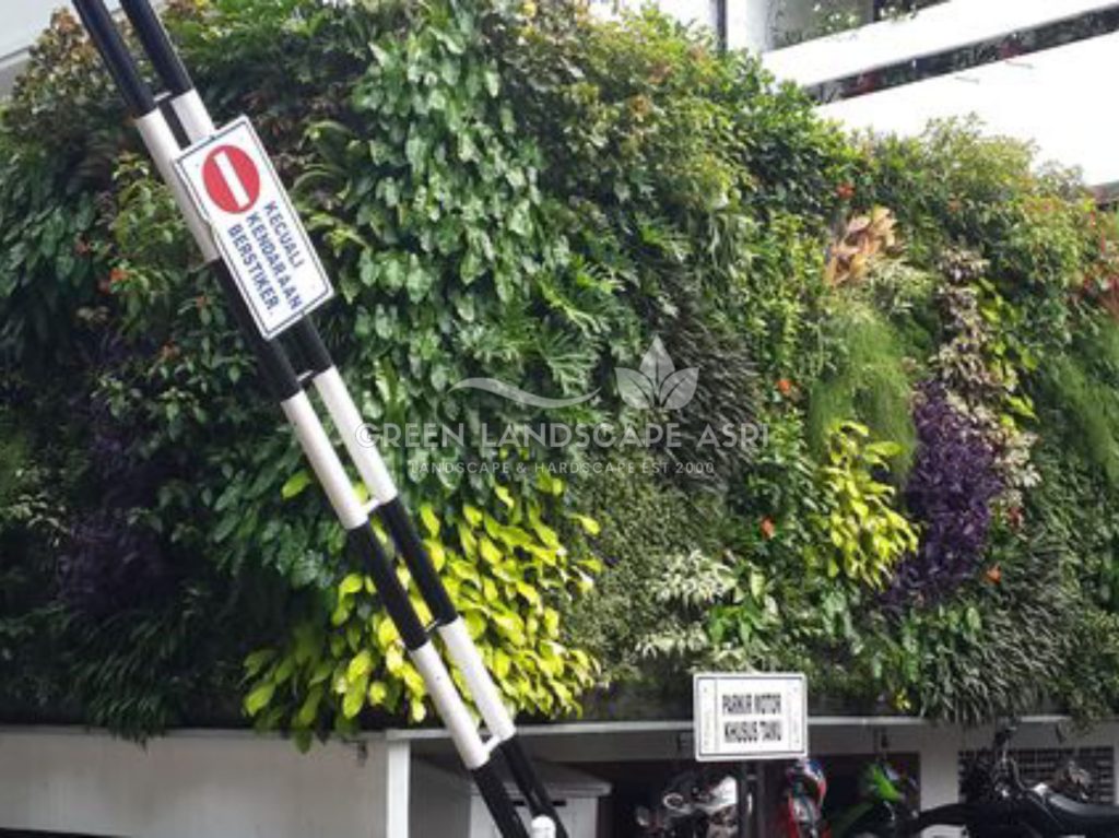 Tukang Taman Vertikal Bergaransi