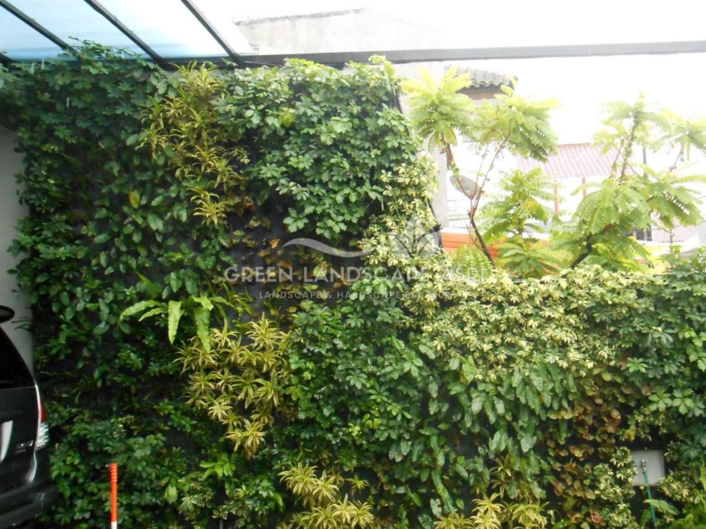 Tukang Taman Vertikal Bergaransi