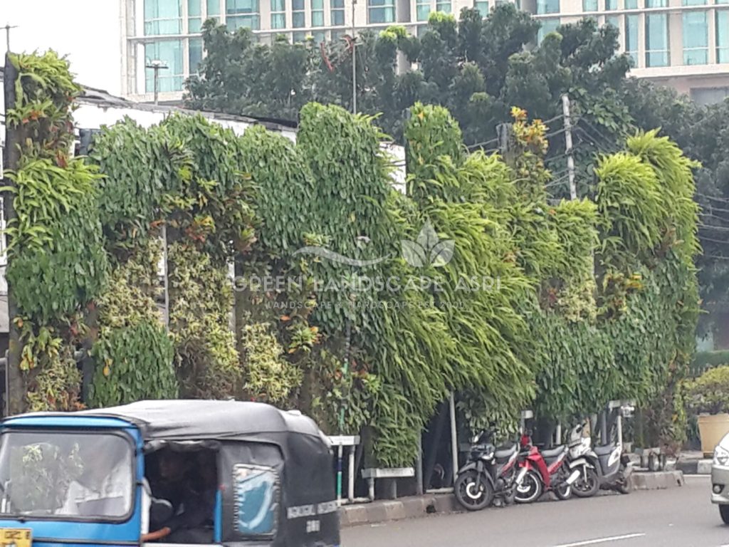 Tukang Taman Vertikal Bergaransi
