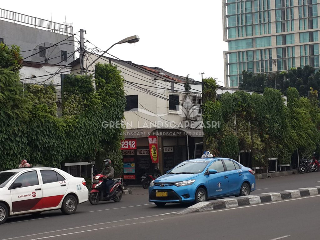 Tukang Taman Vertikal Bergaransi
