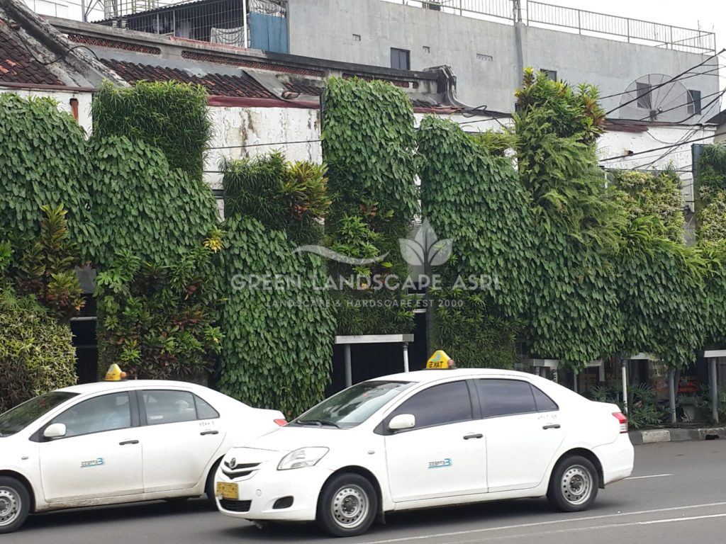 Tukang Taman Vertikal Bergaransi