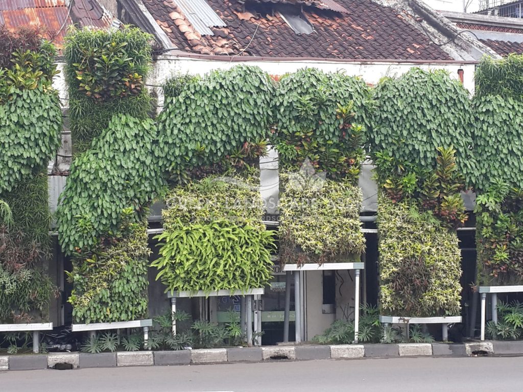 Tukang Taman Vertikal Bergaransi