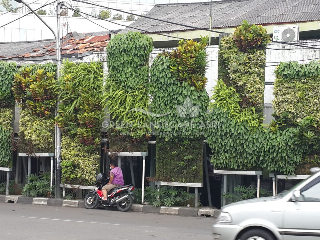 Tukang Taman Vertikal Bergaransi