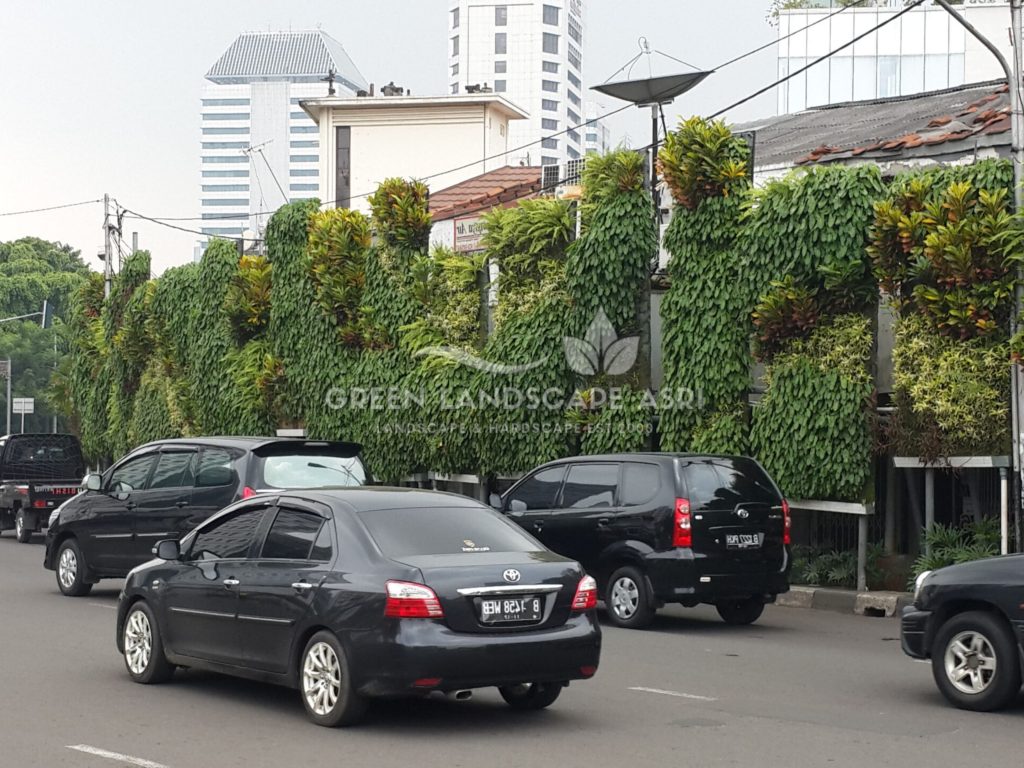 Tukang Taman Vertikal Bergaransi