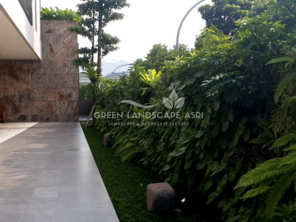 Tukang Taman Vertikal Bergaransi
