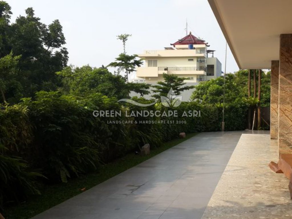 Tukang Taman Vertikal Bergaransi