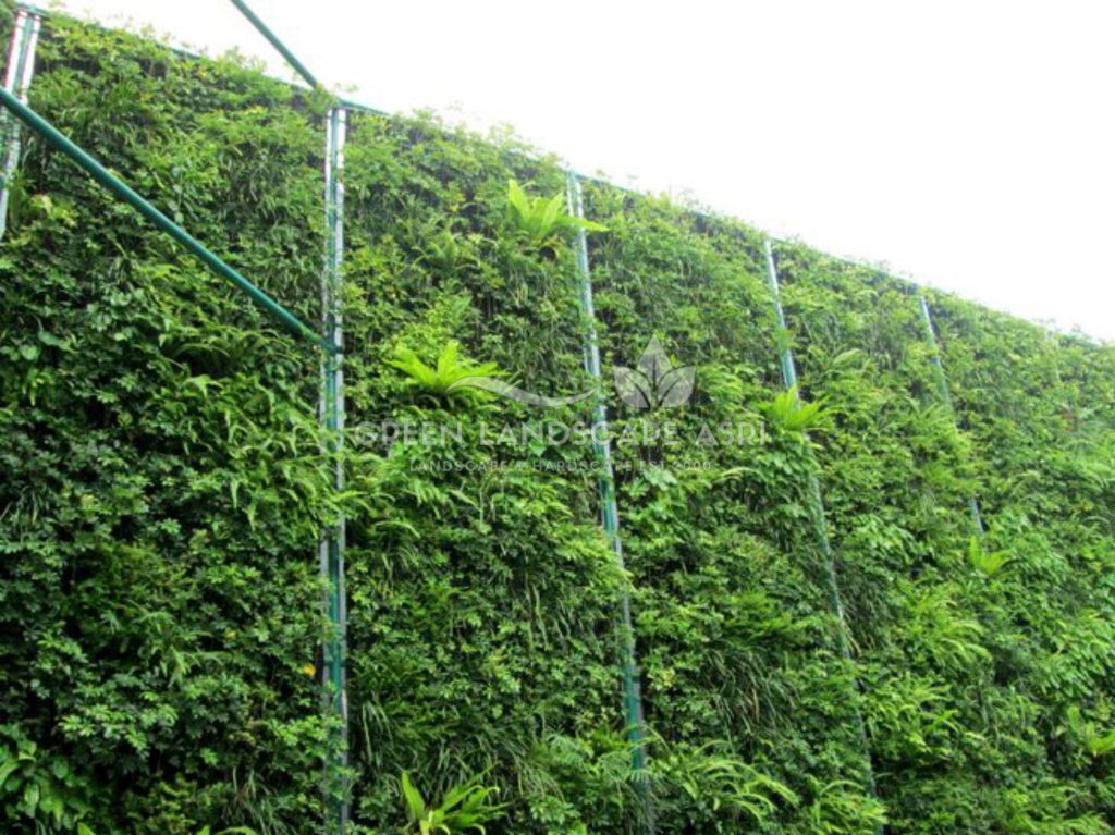 Harga Pasang Taman Vertikal