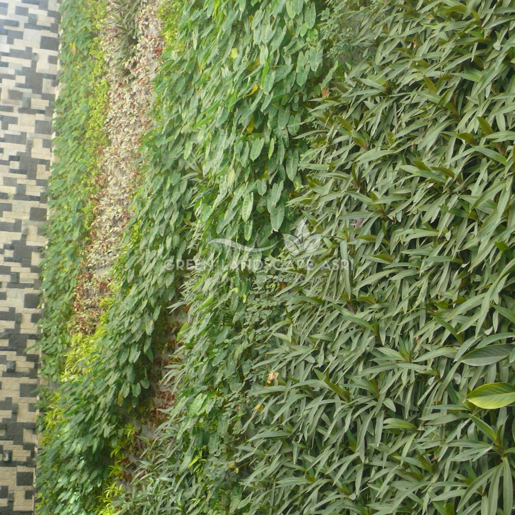 Harga Pasang Taman Vertikal