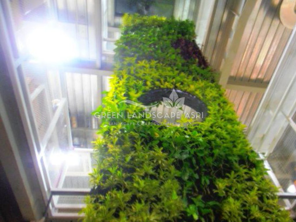 Harga Pasang Taman Vertikal