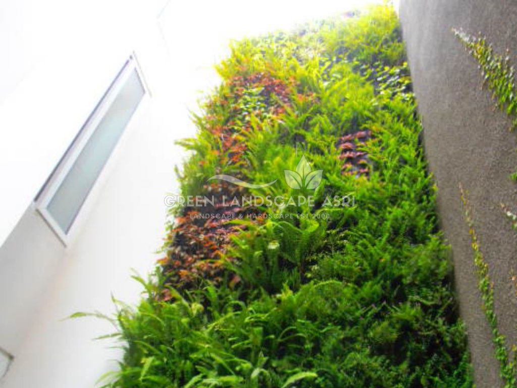 Harga Pasang Taman Vertikal