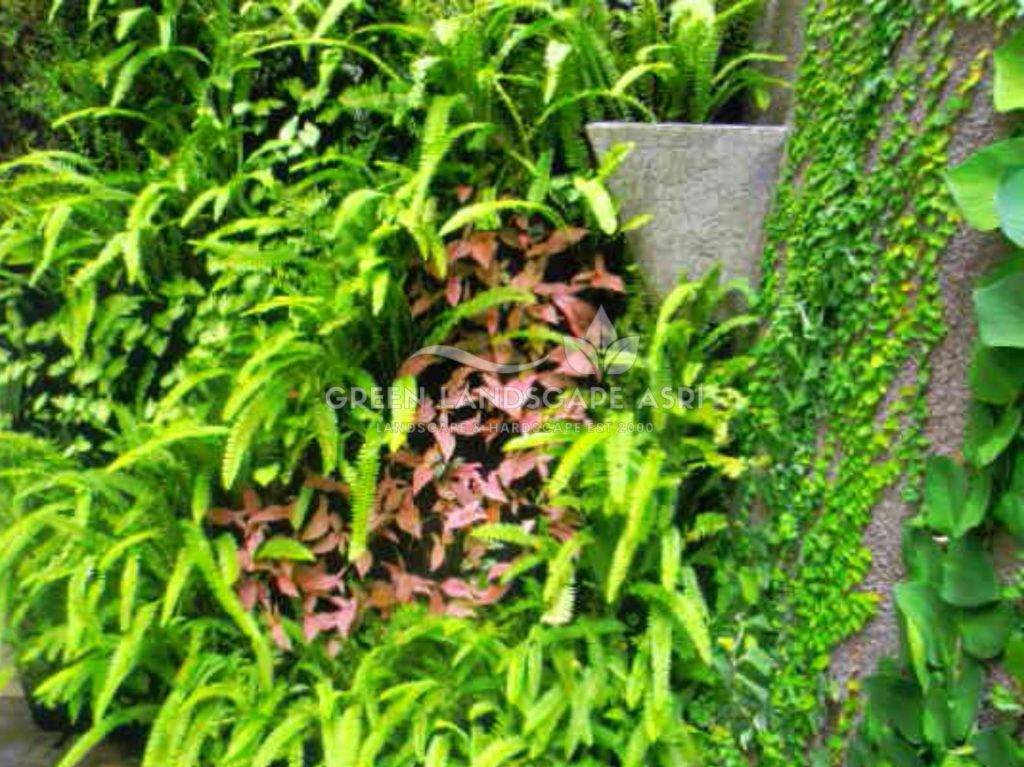 Harga Pasang Taman Vertikal