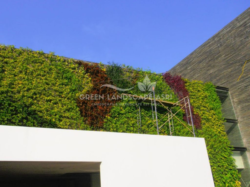 Harga Pasang Taman Vertikal