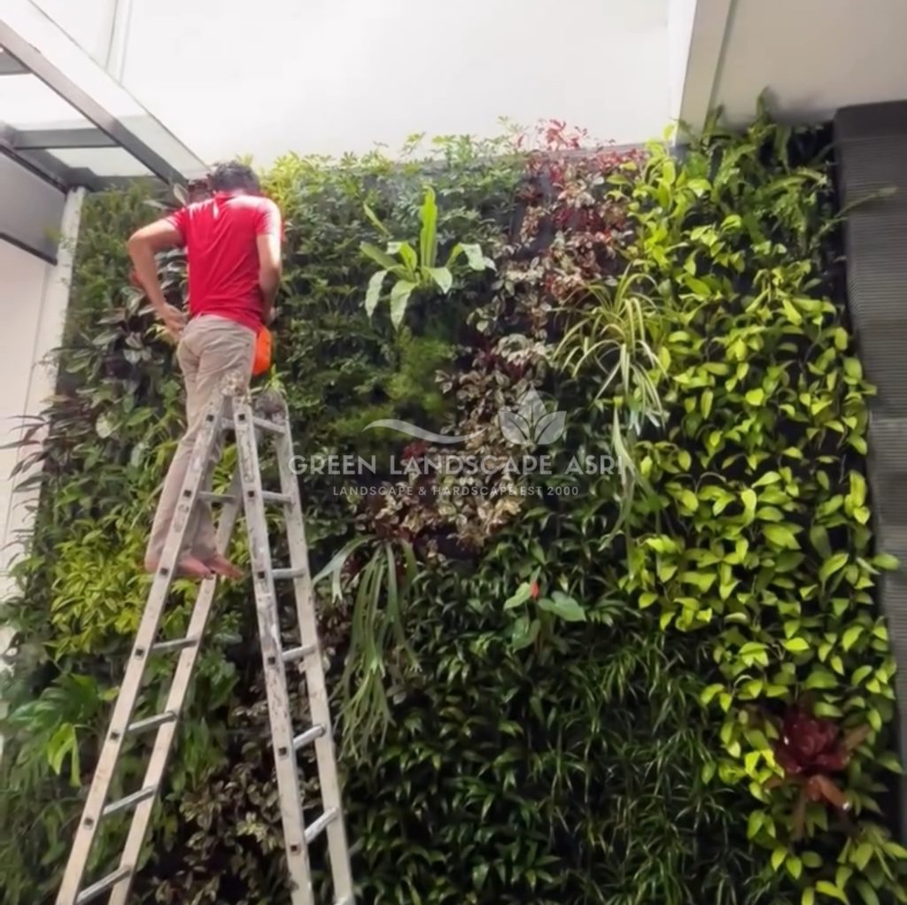 Jasa Pasang Taman Vertikal