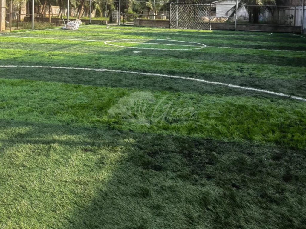 Jual Rumput Taman