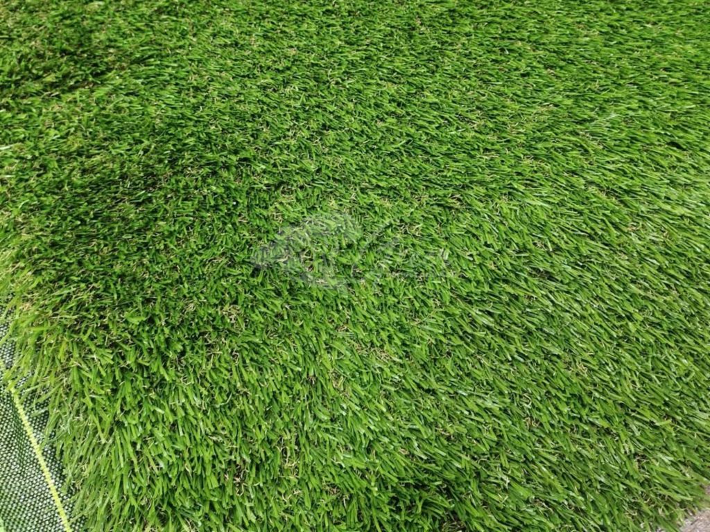 Jual Rumput Taman