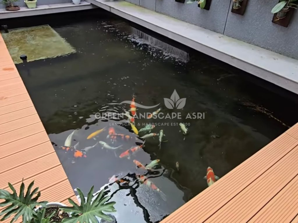 Jasa Kolam Ikan Minimalis