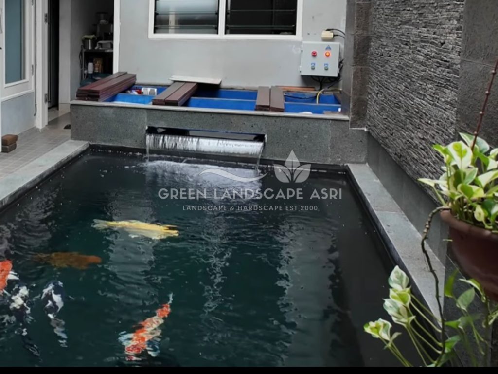 Tukang Kolam Koi