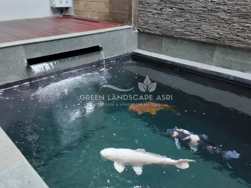 Tukang Kolam Koi