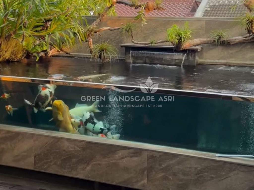 Tukang Kolam Koi