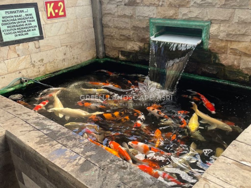 Jasa Pembuatan Kolam Ikan Minimalis
