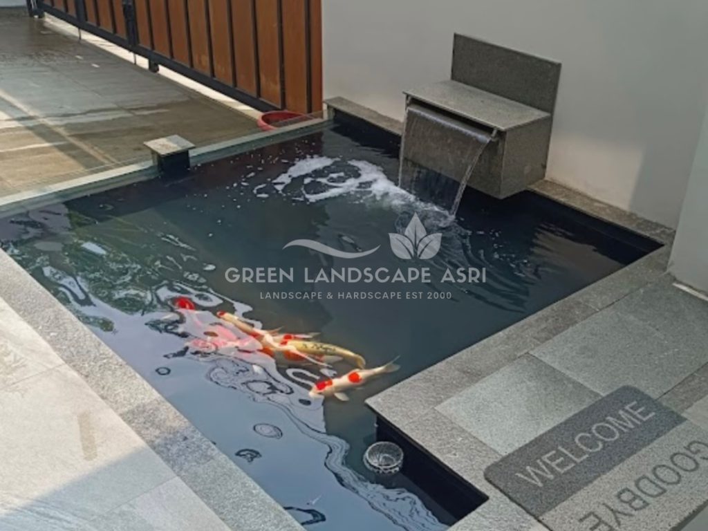 Jasa Pembuatan Kolam Ikan Minimalis